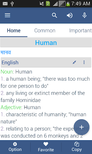 Hindi Dictionary Offline Screen 3