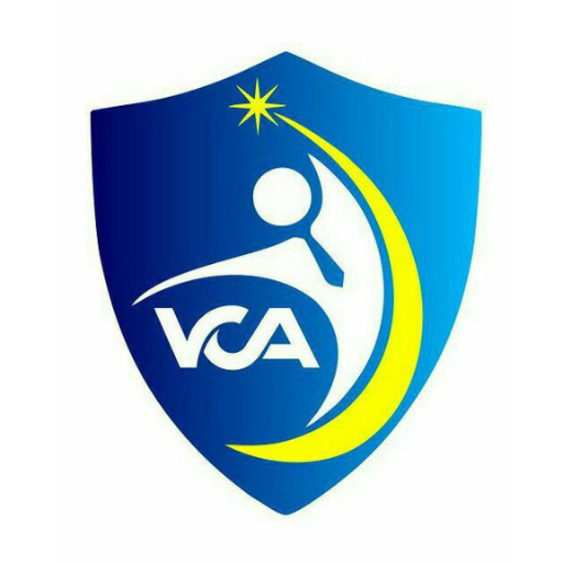 Vidya Career Academy logo