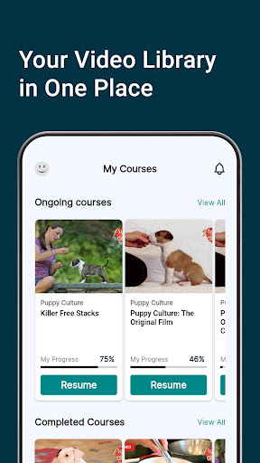 Madcap University Screen 2