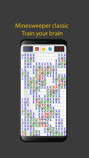 Minesweeper puzzle Screen 3