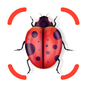 Insect identifier app - identity insects