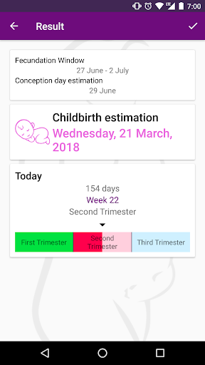 Pregnancy Calculator Screen 3