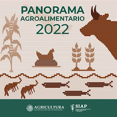 Panorama Agroalimentario 2022 icon