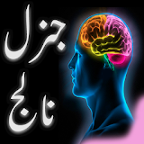 General Knowledge Urdu icon