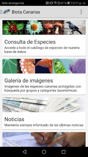 Biota-Canarias Screen 2