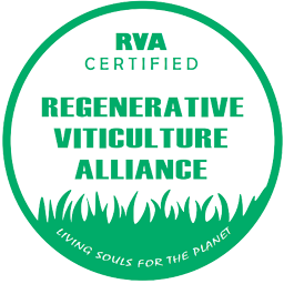 RVA Certification: Download & Review