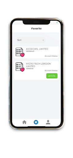 Capital Accountants Screenshot
