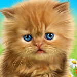 Cover Image of Download Talking baby cat. Talking game  APK
