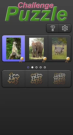 Puzzle Challenge - Screenshot 1