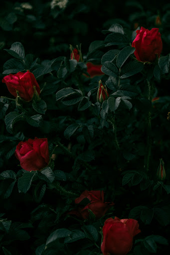 Lock screen 4k Screen 3