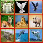 Cover Image of Télécharger Animal Sounds Effects  APK