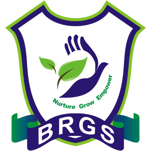 Bharat Ram Global School (BRGS 2.11 Icon