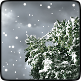 Winter Snowfall Live Wallpaper icon