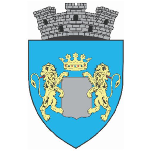Cisnadie CityApp logo