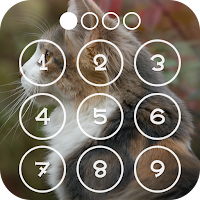 Kitten Lock Screen