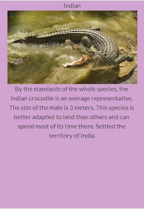 Types of Crocodiles