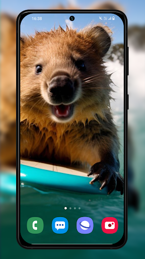 Quokka Wallpapers Backgrounds Screen 2