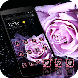 Purple Rose Drop Theme icon