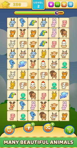 Star Match Animal - Connect Animal Pair Matching