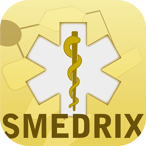 SMEDRIX 3.2 Basic Italiano logo