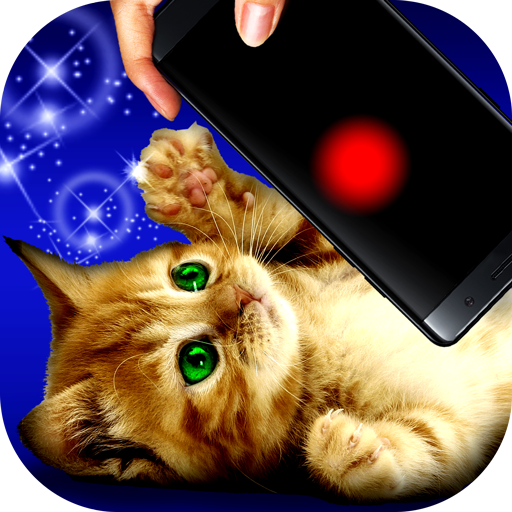 Magazine para gatos - Jogos para gatos e treino: Ponteiro laser para gatos