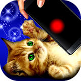Game for cats! icon