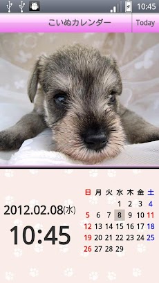 こいぬカレンダー 子犬カレンダー Androidアプリ Applion
