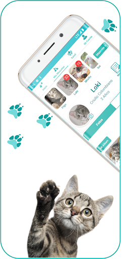 PetiBits Screen 2