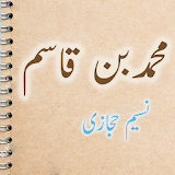 Muhammad Bin Qasim Urdu Novel by Naseem Hijazi icon