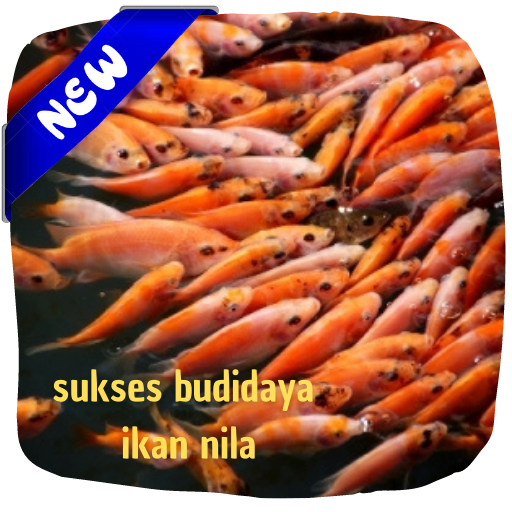 panduan sukses budidaya ikan nila