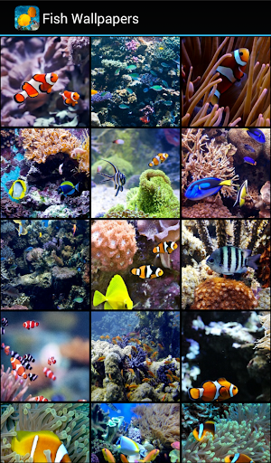 Android application Fish Wallpapers screenshort