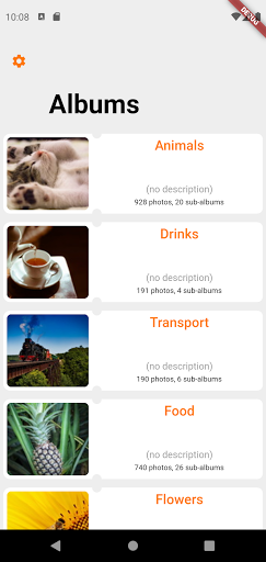 Android application Piwigo NG screenshort