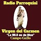 Fm Virgen del Carmen 99.9  Campo Gallo Descarga en Windows