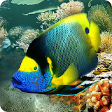 Tropical Fish live wallpaper icon