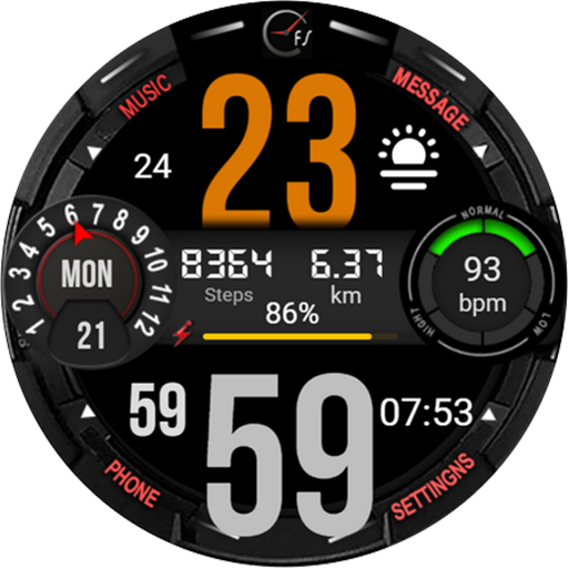 FSW216 WATCHFACE logo