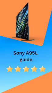 Sony A95L guide