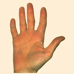 Icon image Lettura della mano