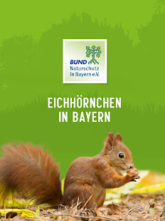 Eichhu00f6rnchen in Bayern 1.3.0 APK screenshots 6