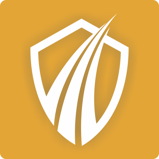 APPV Consultor logo