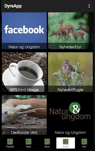 DyreApp Screen 3
