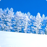 Winter Snow Live Wallpapers icon