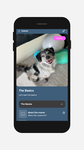 Canine Conditioning Screen 3
