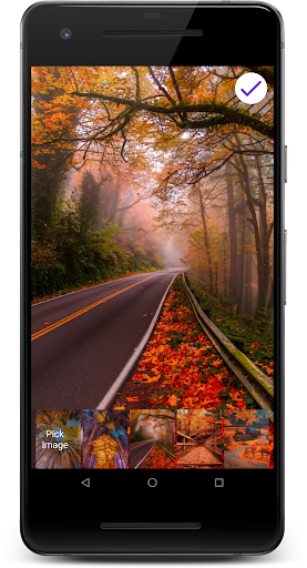 Golden Fall HD Lock Screen