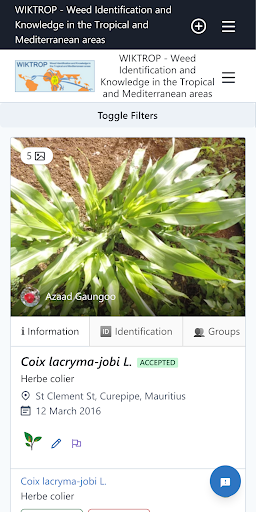 WIKTROP Screen 2