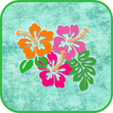 Aloha Hawaiian Hibiscus Flower icon