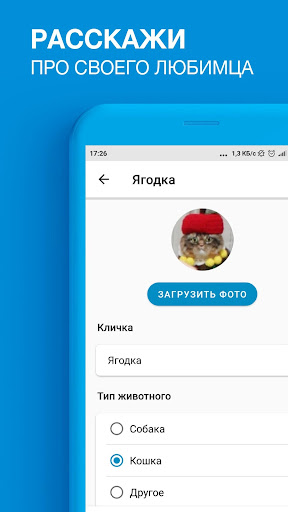 Собака-гуляка - Выгулы собак и Screen 3