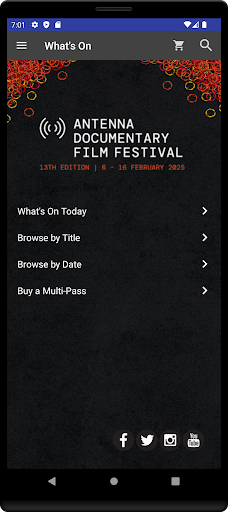 Vista previa de la aplicación