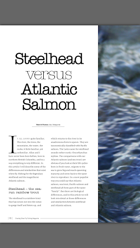 Chasing Silver Magazine screenshot 1