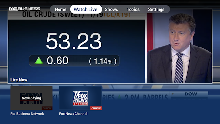 Fox Business - Screenshot Image