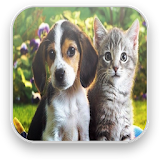 Sounds of cats and dogs icon